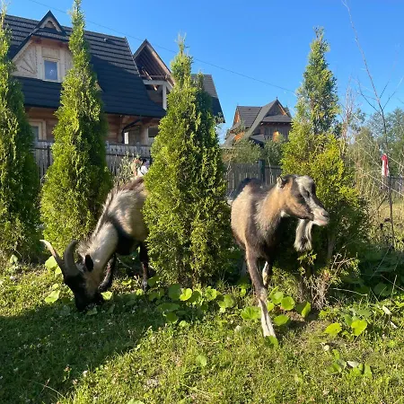 Aspen Szymaszkowa Lägenhet *